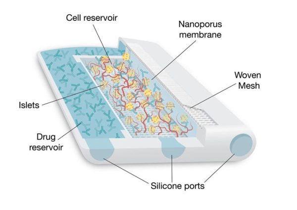diagram of 3rd printed cell encapsulation